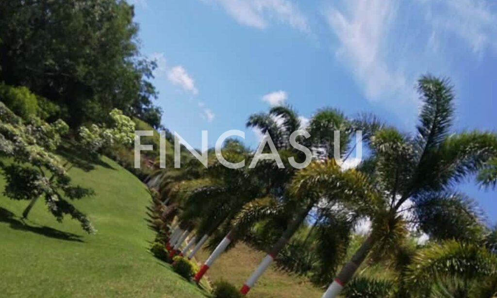 FINCA 103 en Ebéjico foto 9