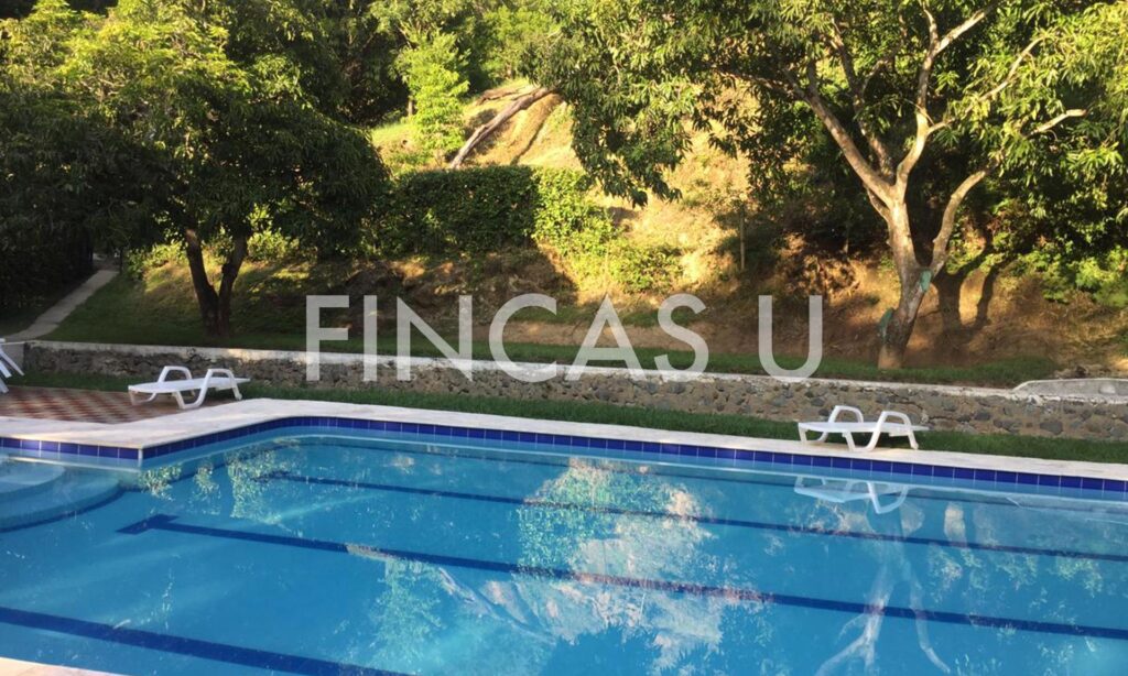 FINCA 129 en Santa Fe de Antioquia foto 5