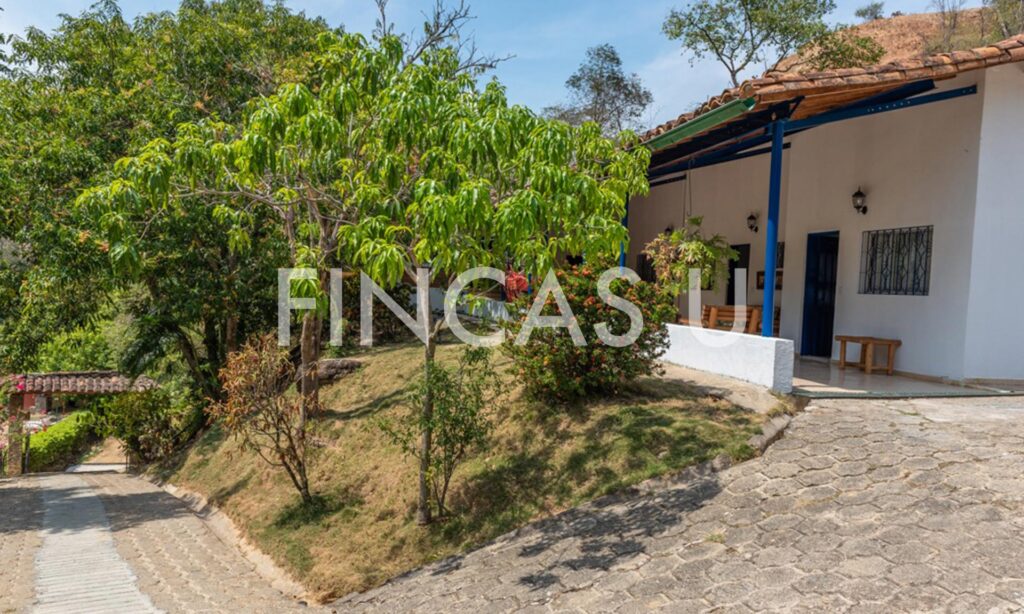 FINCA 129 en Santa Fe de Antioquia foto 9