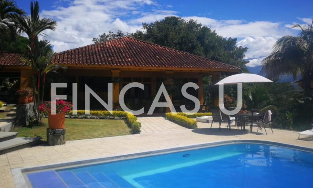 FINCA 106 en La Pintada foto 10