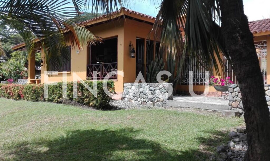 FINCA 106 en La Pintada foto 15