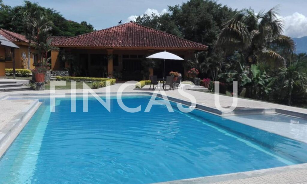 FINCA 106 en La Pintada foto 5