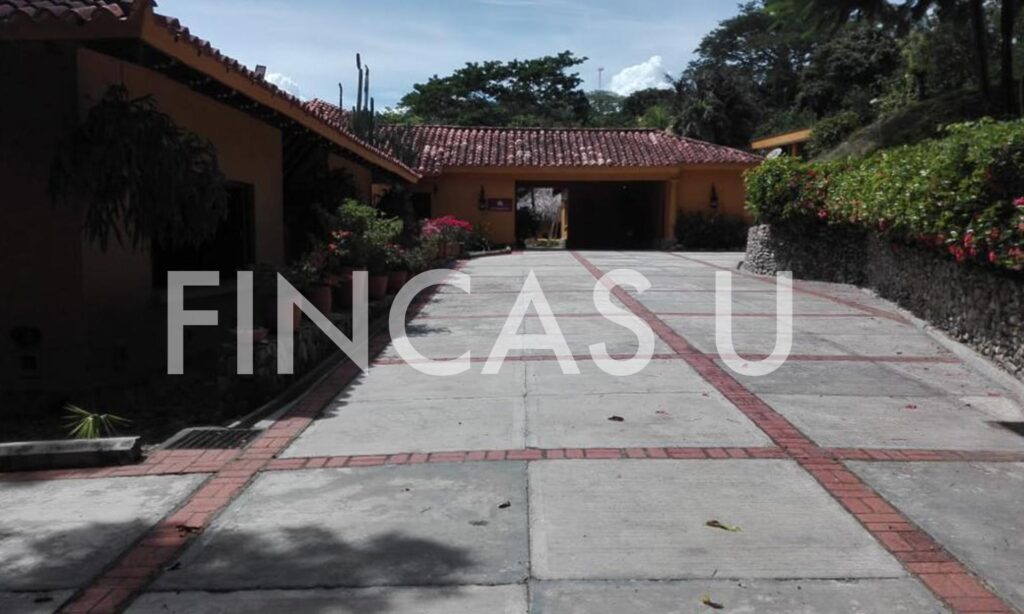 FINCA 106 en La Pintada foto 6