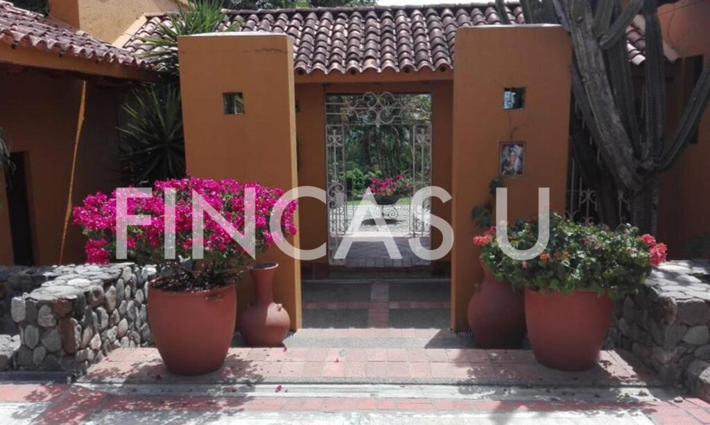 FINCA 106 en La Pintada foto 8