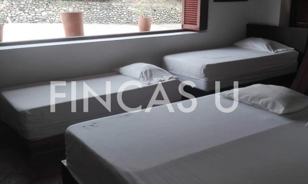 FINCA 106 en La Pintada foto 9