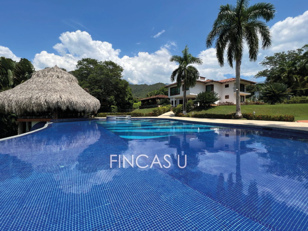 FINCA 145 en San Jerónimo foto 5