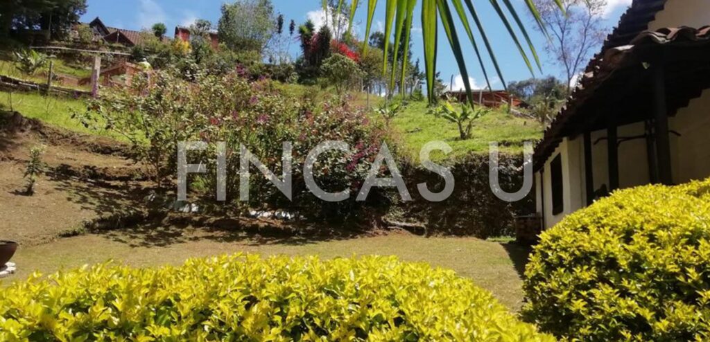 FINCA 153 en Guarne foto 11