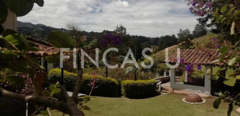 FINCA 153 en Guarne foto 3