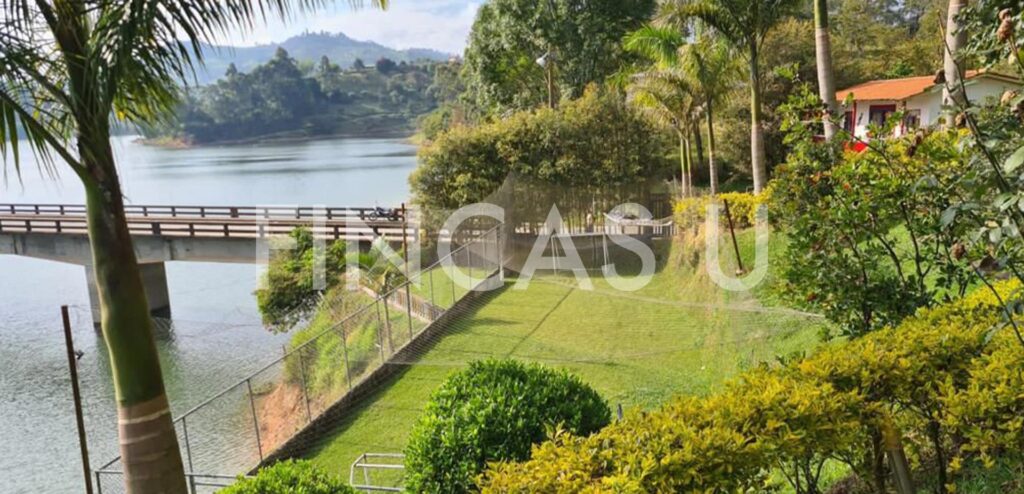 FINCA 191 en Guatape foto 5