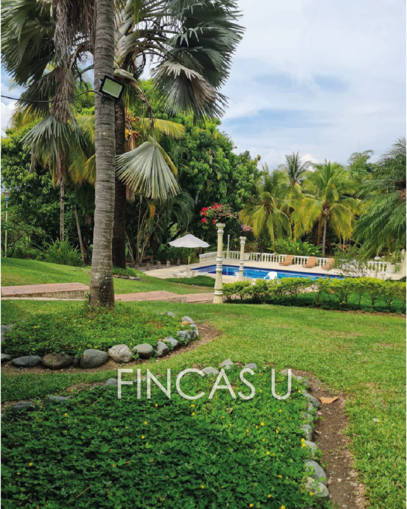 FINCA 190 en Santa Fe de Antioquia foto 5