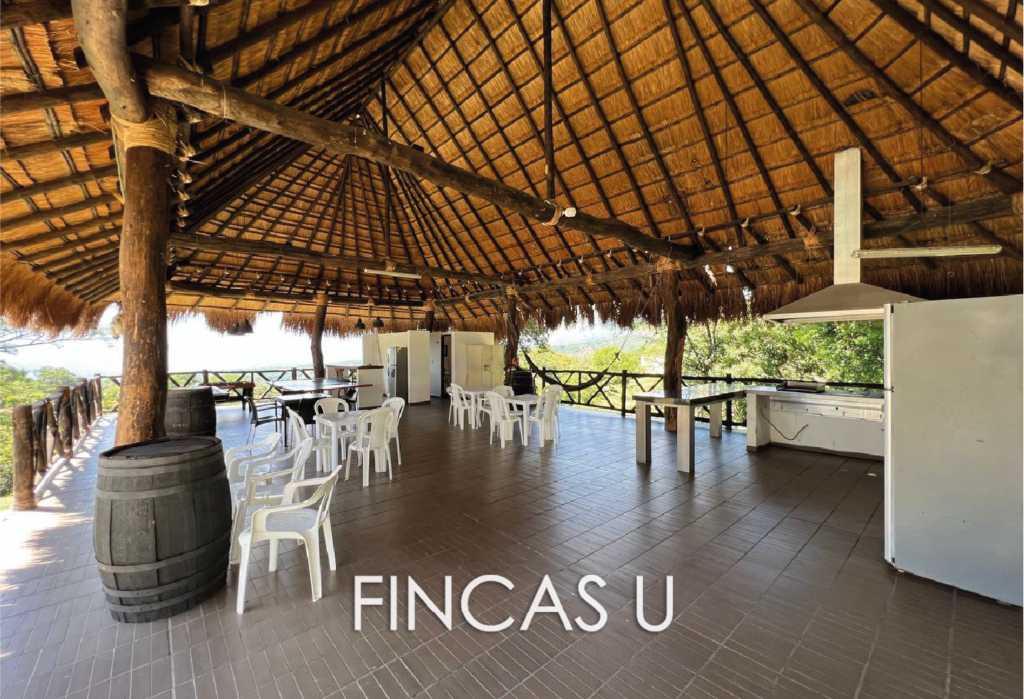 FINCA 193 en San Jerónimo foto 4