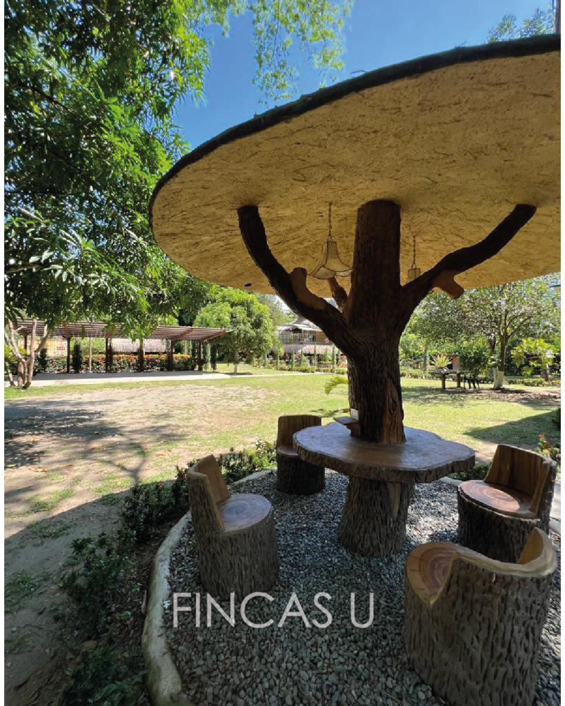 FINCA 203 en Santa Fe de Antioquia foto 10