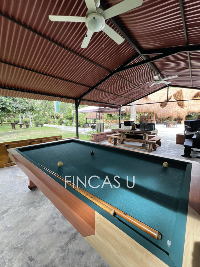 FINCA 217 en Santa Fe de Antioquia foto 6