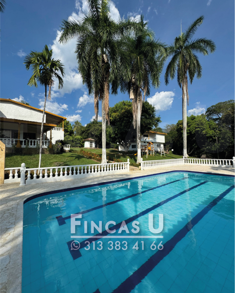 FINCA 232 en San Jerónimo foto 2