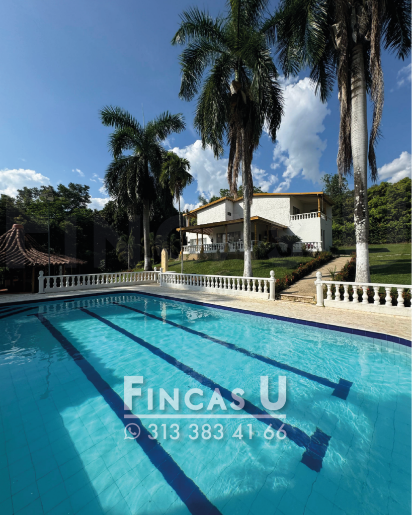 FINCA 232 en San Jerónimo foto 3