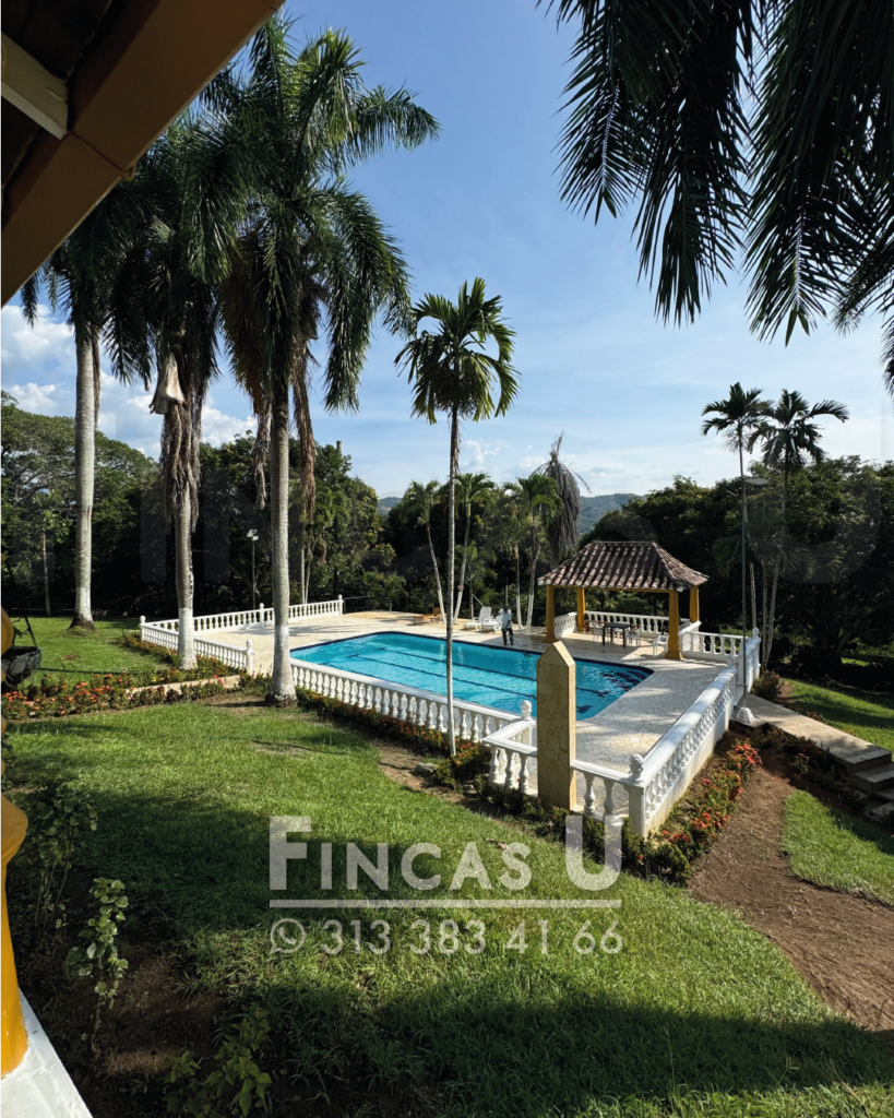 FINCA 232 en San Jerónimo foto 9