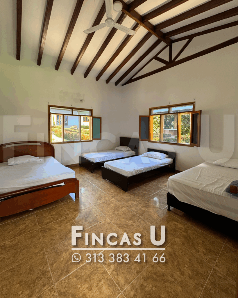 FINCA 242 en San Jerónimo foto 14