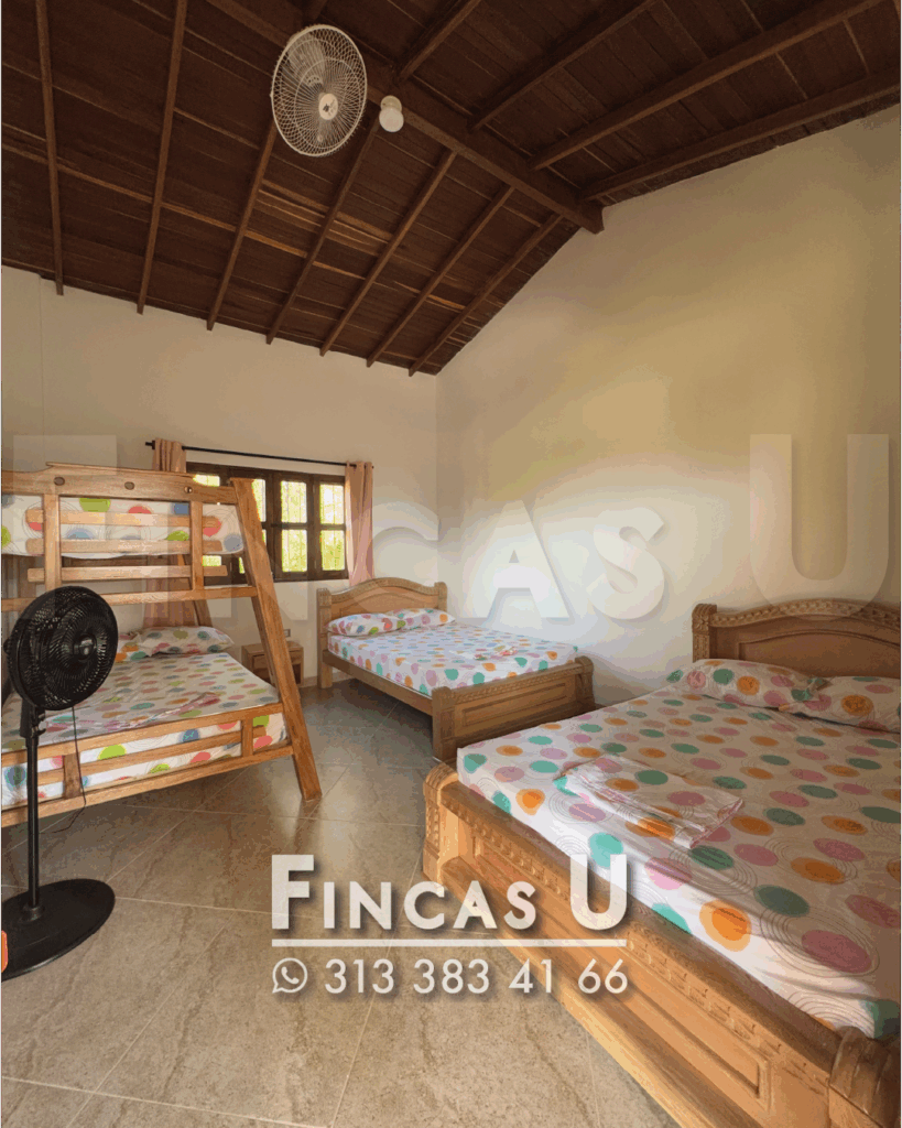 FINCA 239 en San Jerónimo foto 13