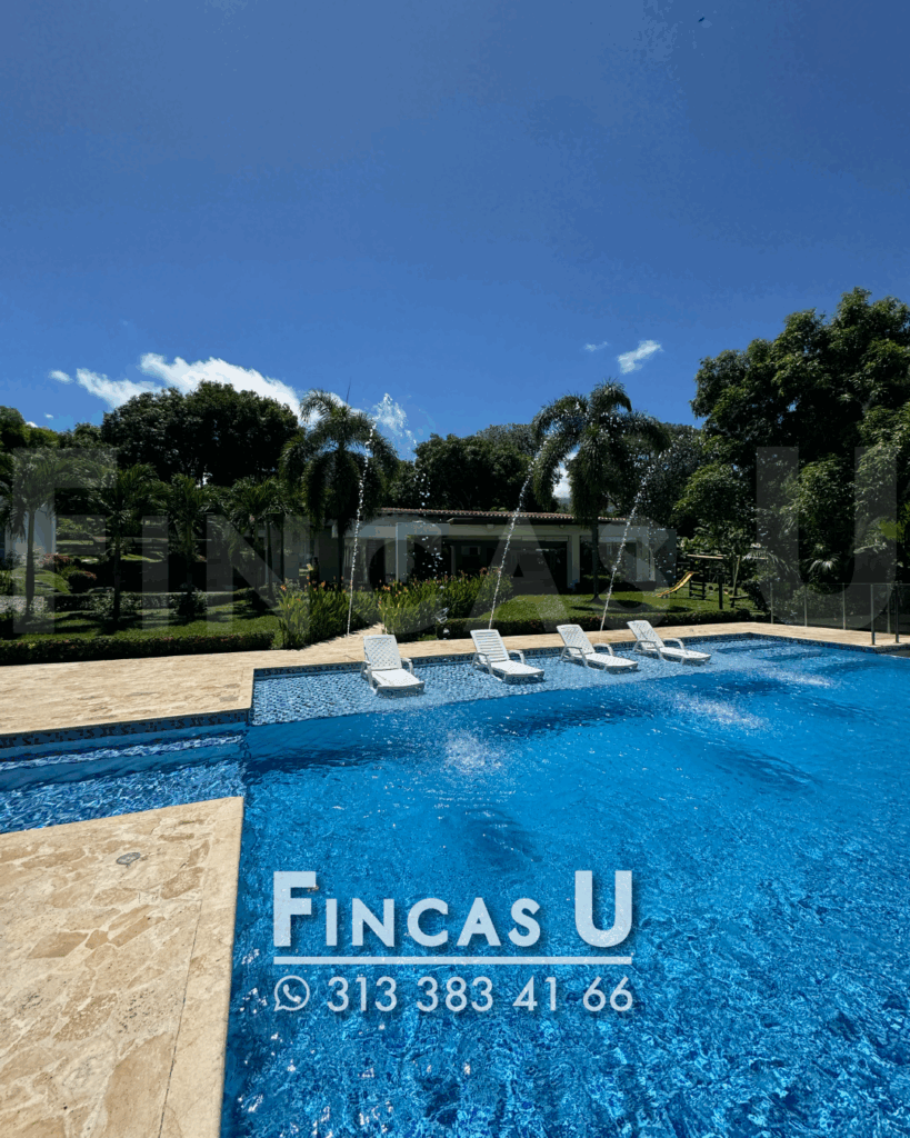 FINCA 241 en San Jerónimo foto 4