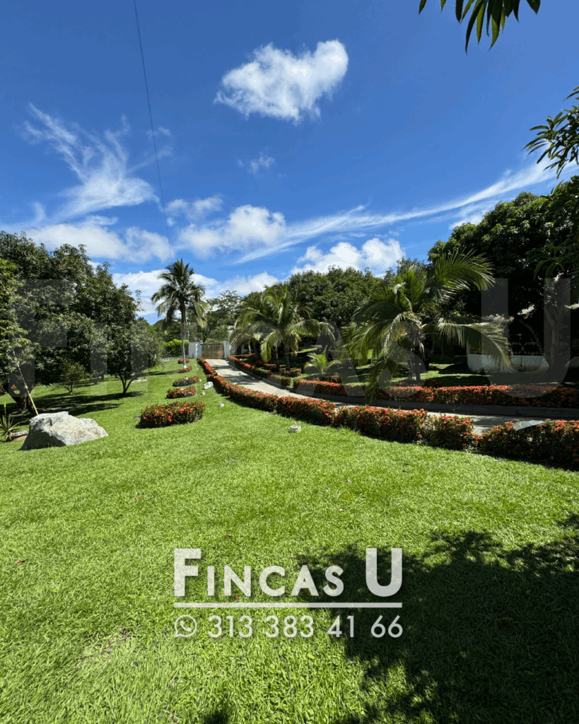 FINCA 242 en San Jerónimo foto 17