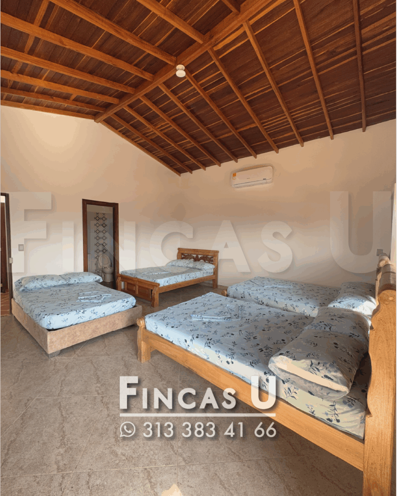 FINCA 239 en San Jerónimo foto 14