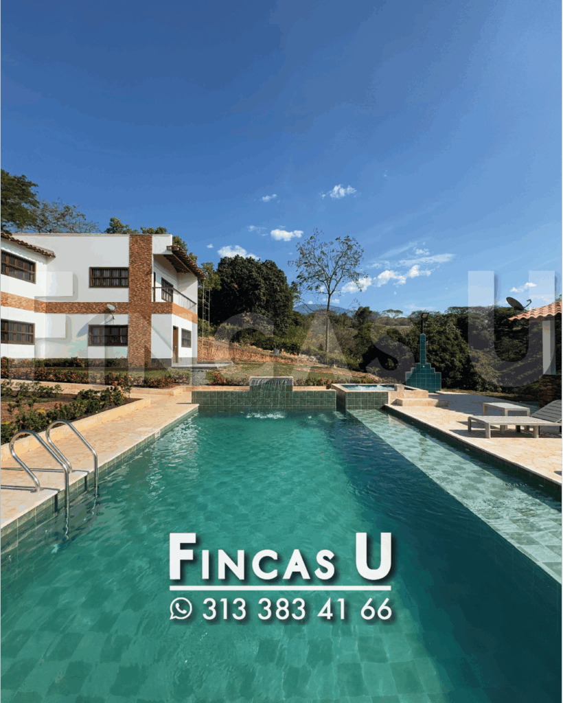 FINCA 239 en San Jerónimo foto 2