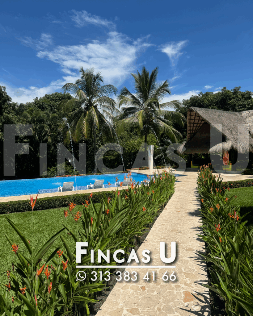 FINCA 241 en San Jerónimo foto 5