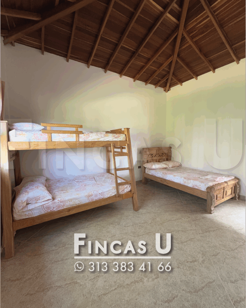 FINCA 239 en San Jerónimo foto 16