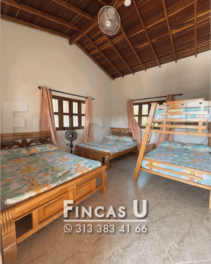 FINCA 239 en San Jerónimo foto 18