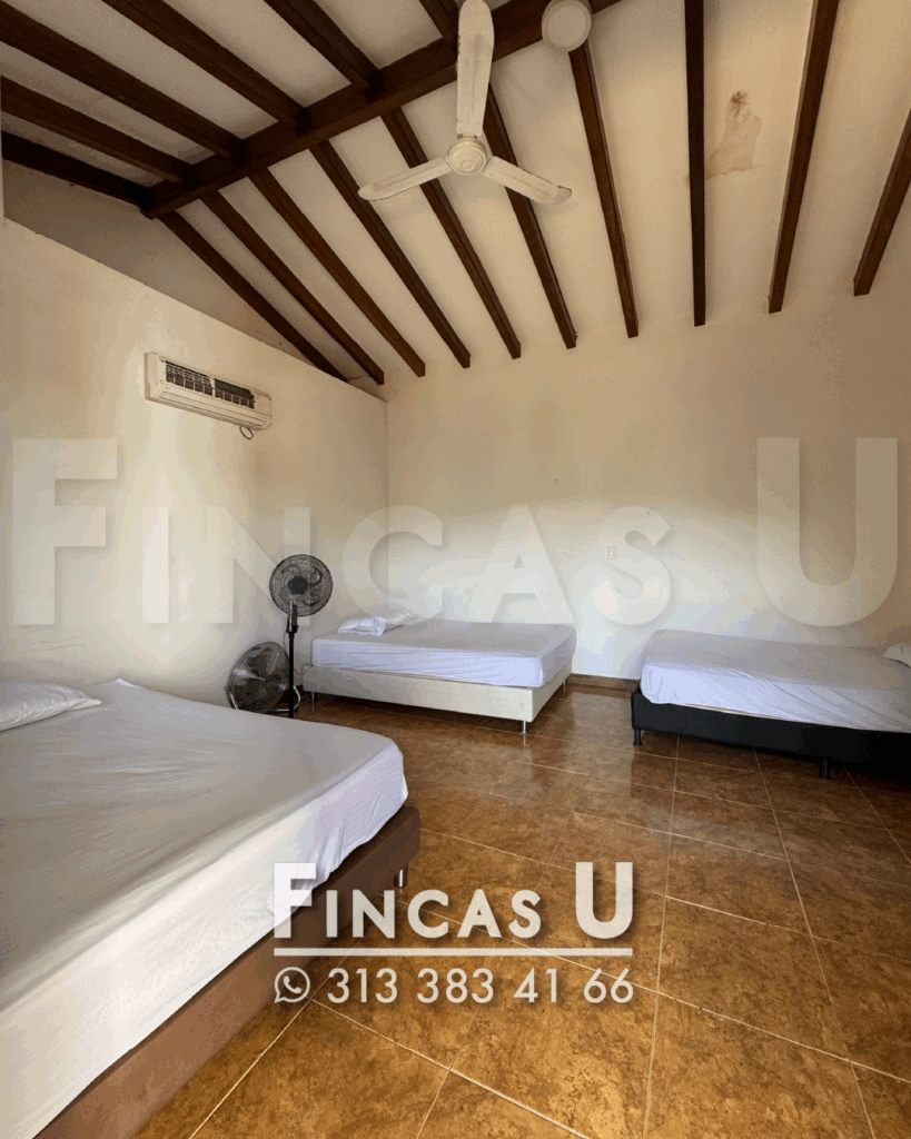 FINCA 242 en San Jerónimo foto 15