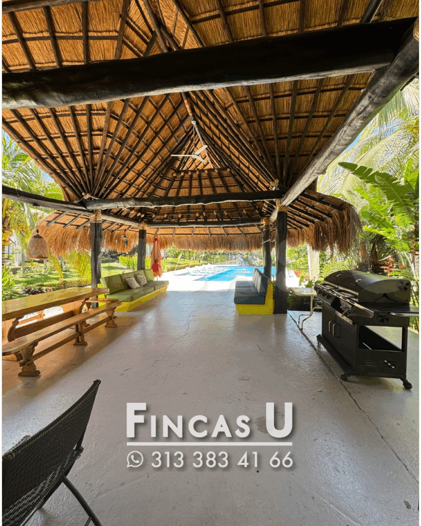 FINCA 241 en San Jerónimo foto 6