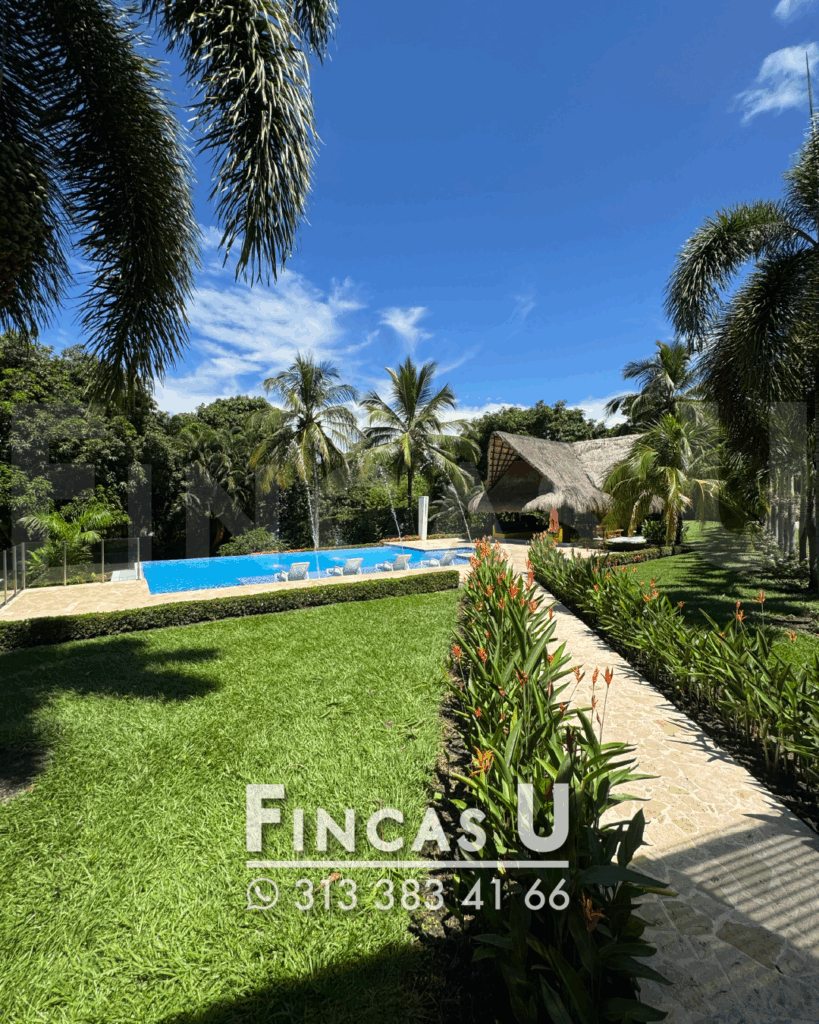 FINCA 241 en San Jerónimo foto 8