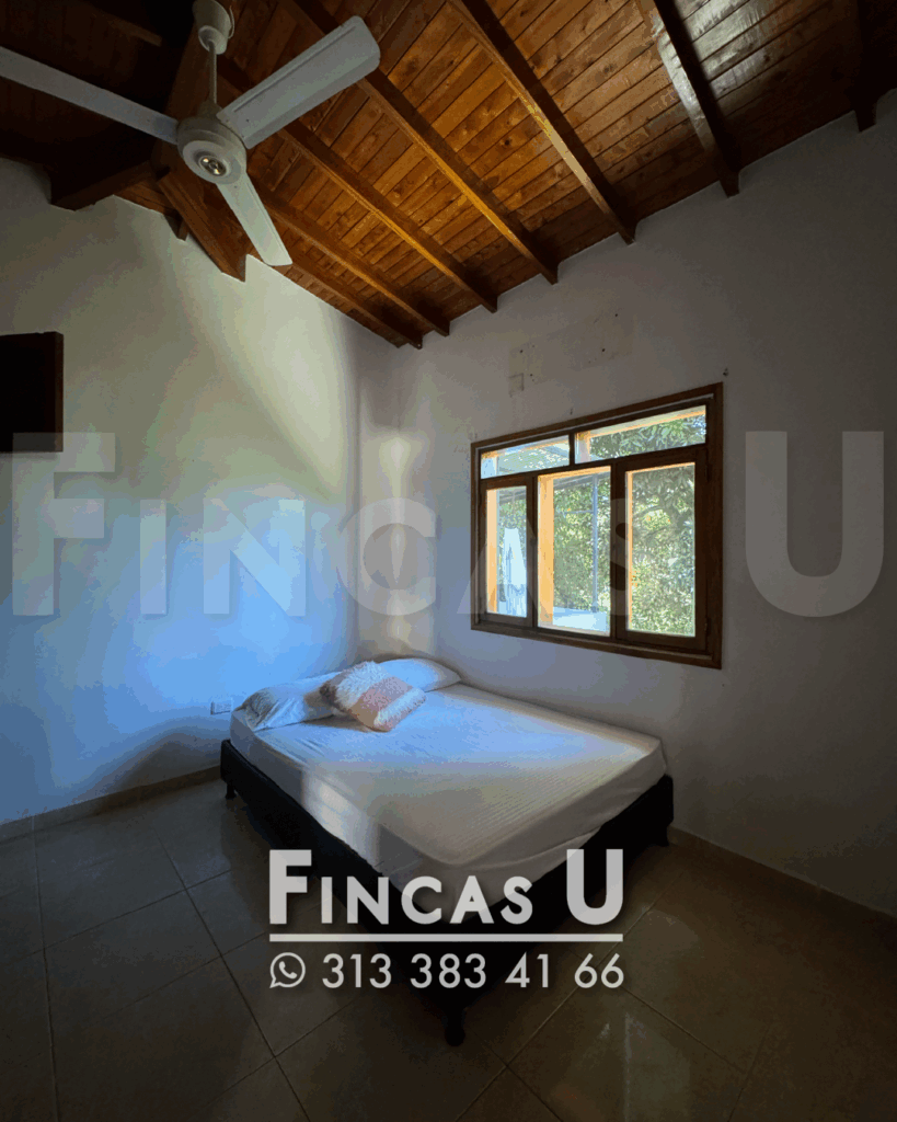FINCA 242 en San Jerónimo foto 13